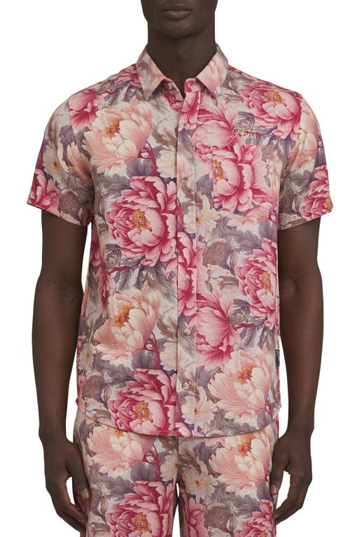 PRPS Floral Short Sleeve Button-Up Shirt in Pink Multi 