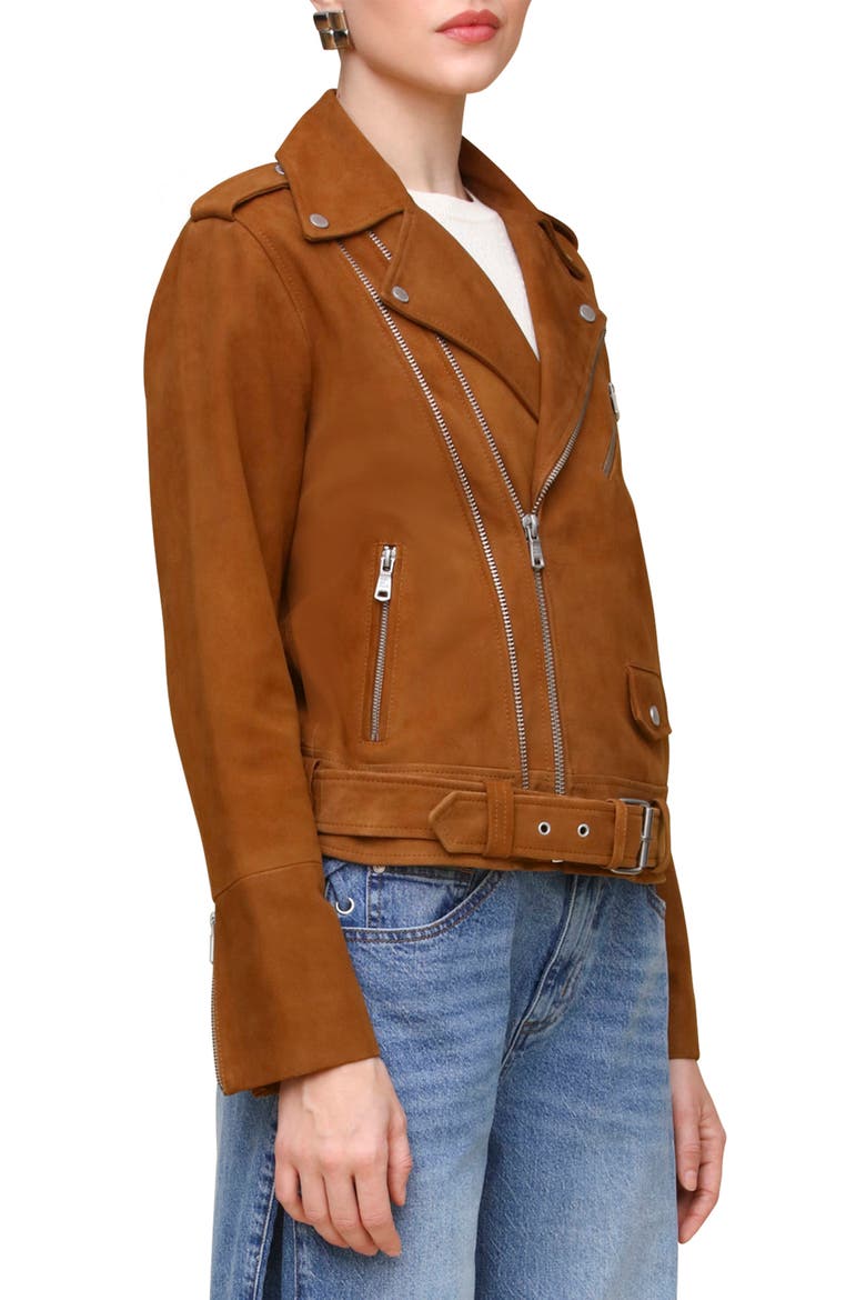 Belted Suede Moto Jacket, Alternate, color, CAMEL