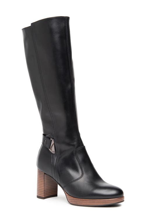 NeroGiardini Platform Knee High Boot in Black 