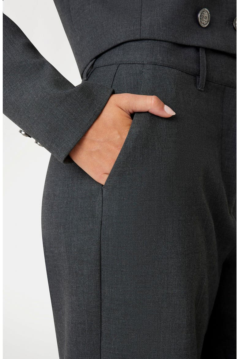 Joandra Flat Front Straight Leg Pants, Alternate, color, LIGHT GREY