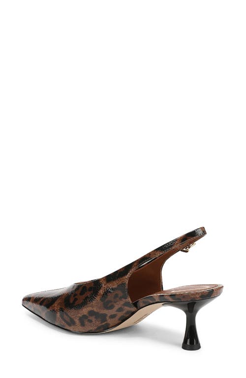 Circus Ny By Sam Edelman Fawn Pointed Toe Slingback Pump In Brown
