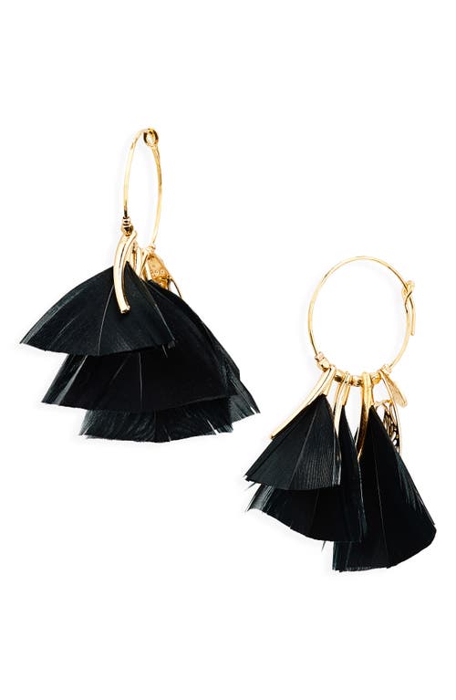 Gas Bijoux Marly Feather Hoop Earrings In Black
