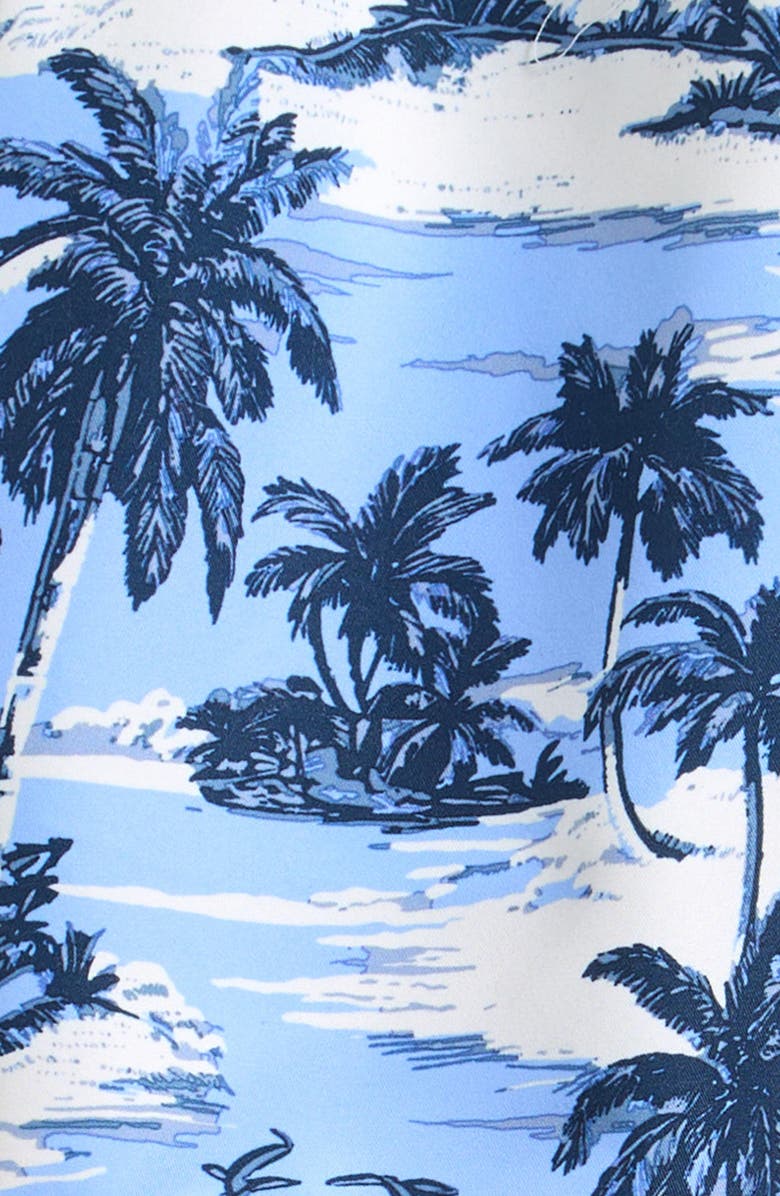 Rip Curl Kids' Dreamers Volley Swim Trunks, Alternate, color, Ice Blue