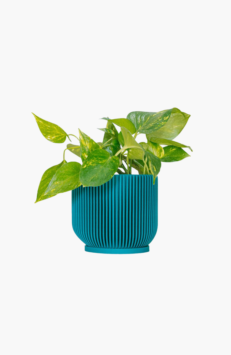 Woodland Pulse IONIC Modern Ribbed Planter Planter, Plant Pots, Flower Pots, Alternate, color, 