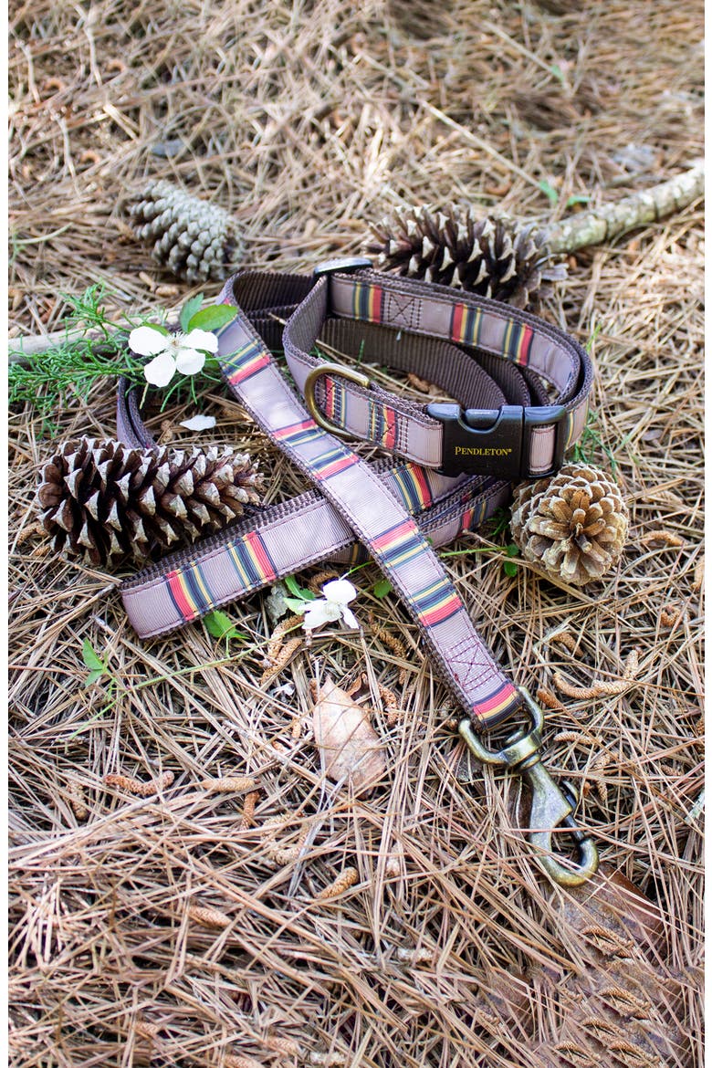 Camp Dog Collar, Alternate, color, UMBER
