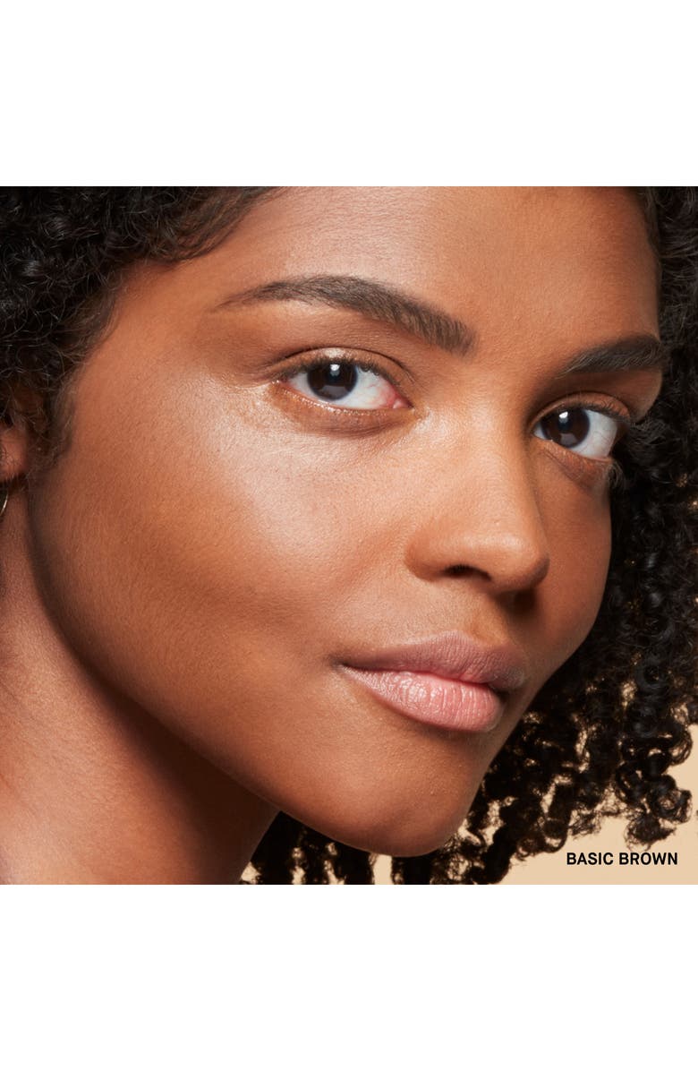 Bobbi Brown Sheer Finish All Day Oil Control Matte Pressed Powder, Alternate, color, Basic Brown