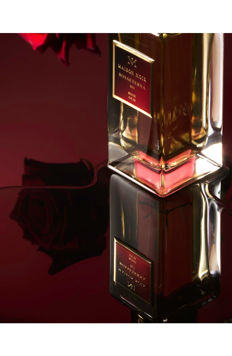 MAISON NOIR RosaEterna 163, Alternate, color, NO COLOR