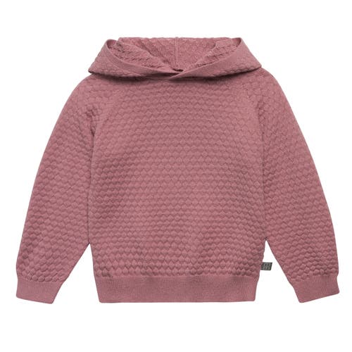Modern Moments™ By Gerber Sweater Knit Hoodie & Pant Set In Rose