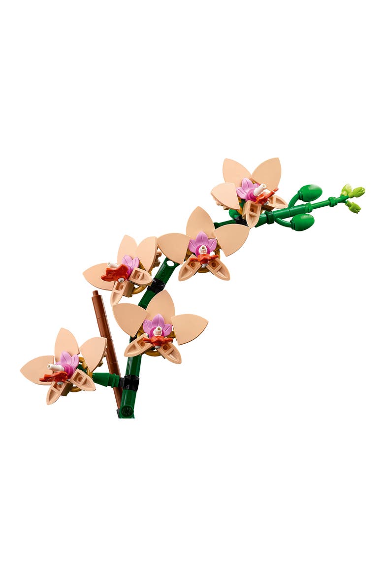 18+ Botanicals™ Mini Orchid - 10343, Alternate, color, MULTI