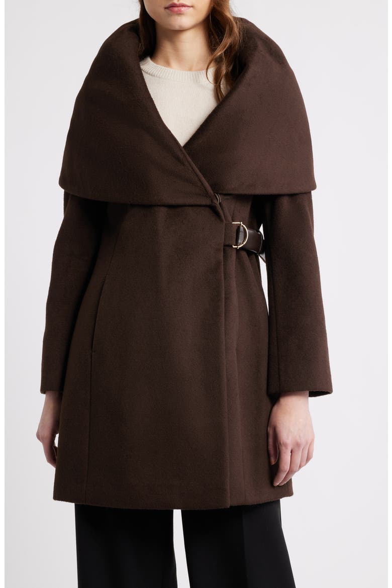 Hooded Wool Blend Belted Coat, Main, color, CHOCOLATE