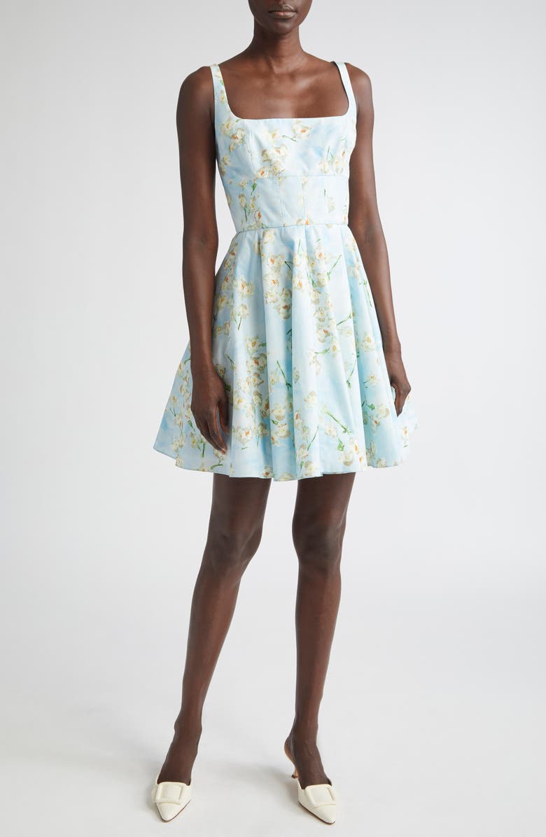 Emilia Wickstead Mona Floral Cotton Sundress, Main, color, Little Lillies On Blue