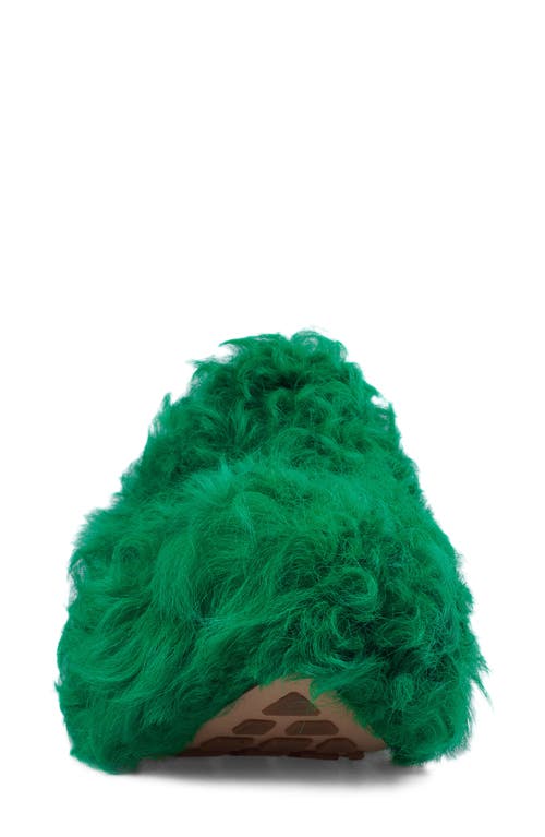 Zigi Fauna Genuine Shearling Platform Clog Slipper In Green