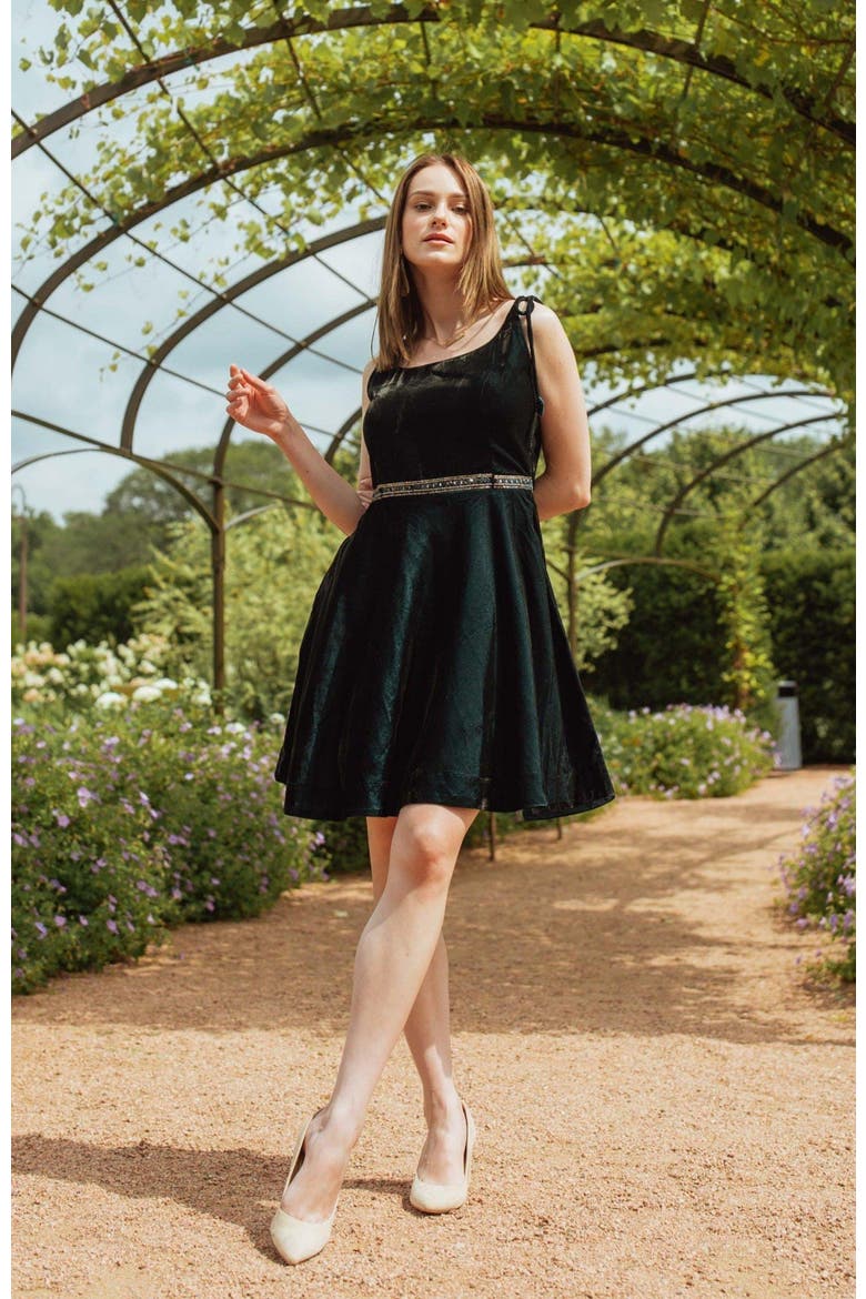 Tia Velvet Short Dress, Alternate, color, Teal Blue