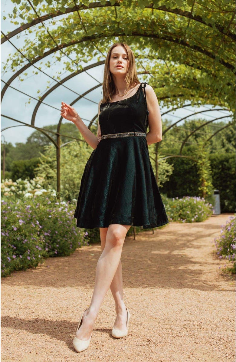 RAAS Tia Velvet Short Dress, Alternate, color, Teal Blue