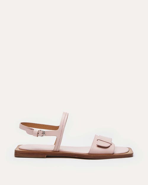 Shop Want Les Essentiels De La Vie Want Les Essentiels Holton Smooth Leather Flat Sandal In Blush