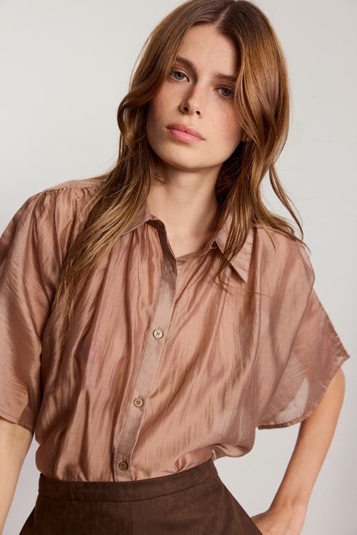 The Shirt By Rochelle Behrens The Hayden Shirt In Brown