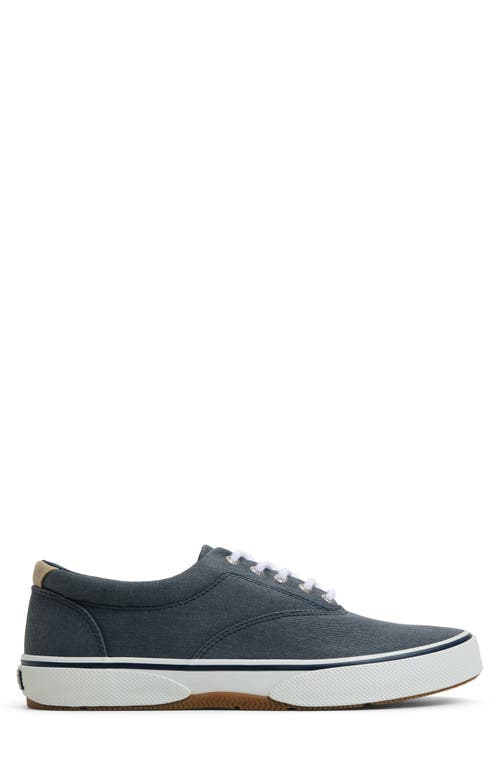 Sperry Halyard Saltwashed Low Top Sneaker In Blue