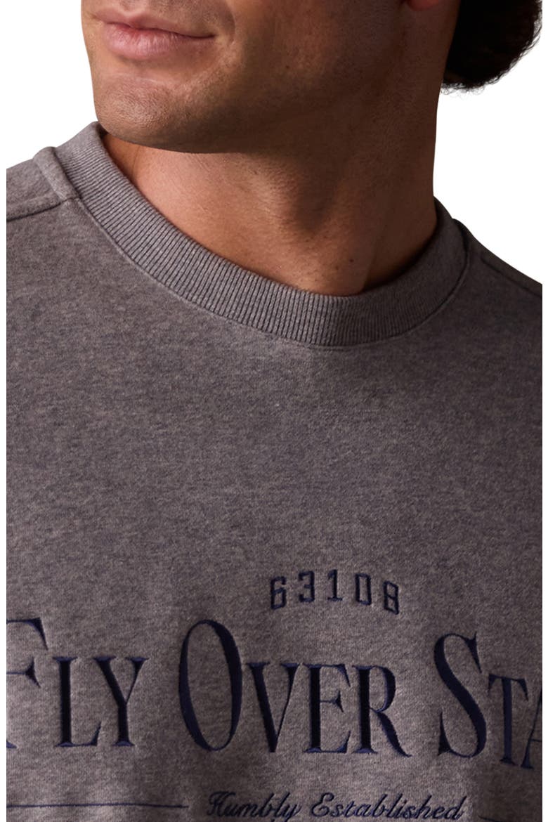 Oversize Fly Over State Embroidered Crewneck Sweatshirt, Alternate, color, HEATHER GREY