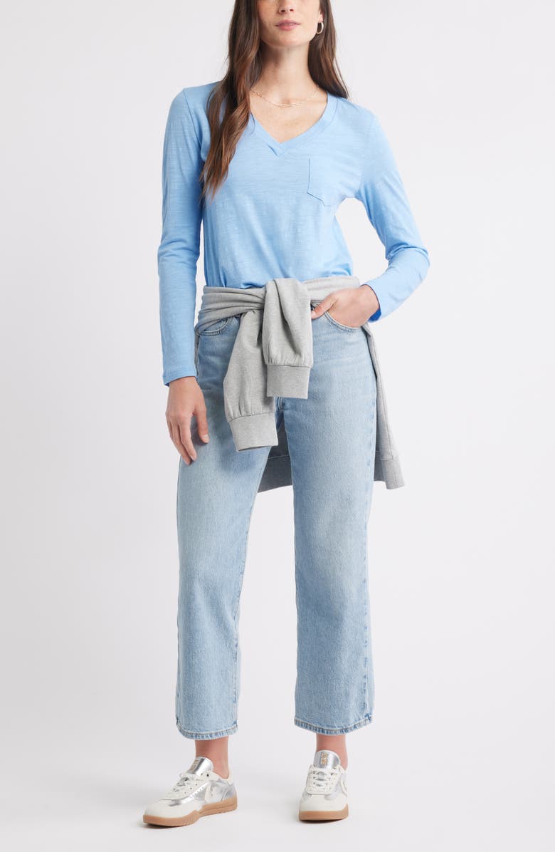 Caslon<sup>®</sup> Long Sleeve V-Neck T-Shirt, Alternate, color, Blue Robbia