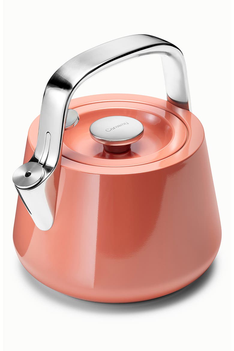 Whistling Tea Kettle, Main, color, TERRACOTTA