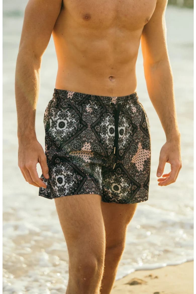 Hudson Swim Shorts, Alternate, color, Black