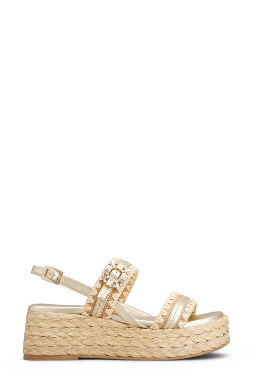 Roger Vivier Summer Crystal Embellished Platform Espadrille Sandal in Crema Chiaro/oro at Nordstrom, Size 36