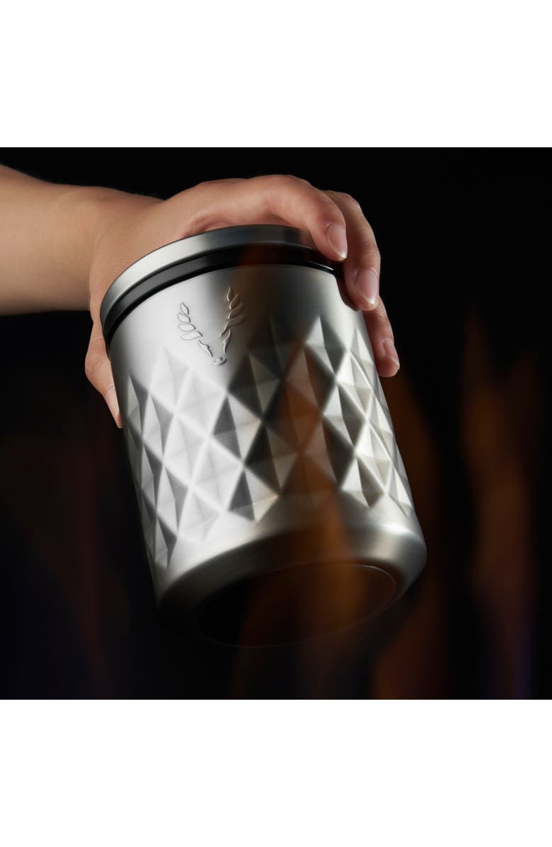 Viski Paragon Stainless Steel Rocks Tumbler, Alternate, color, Platinum