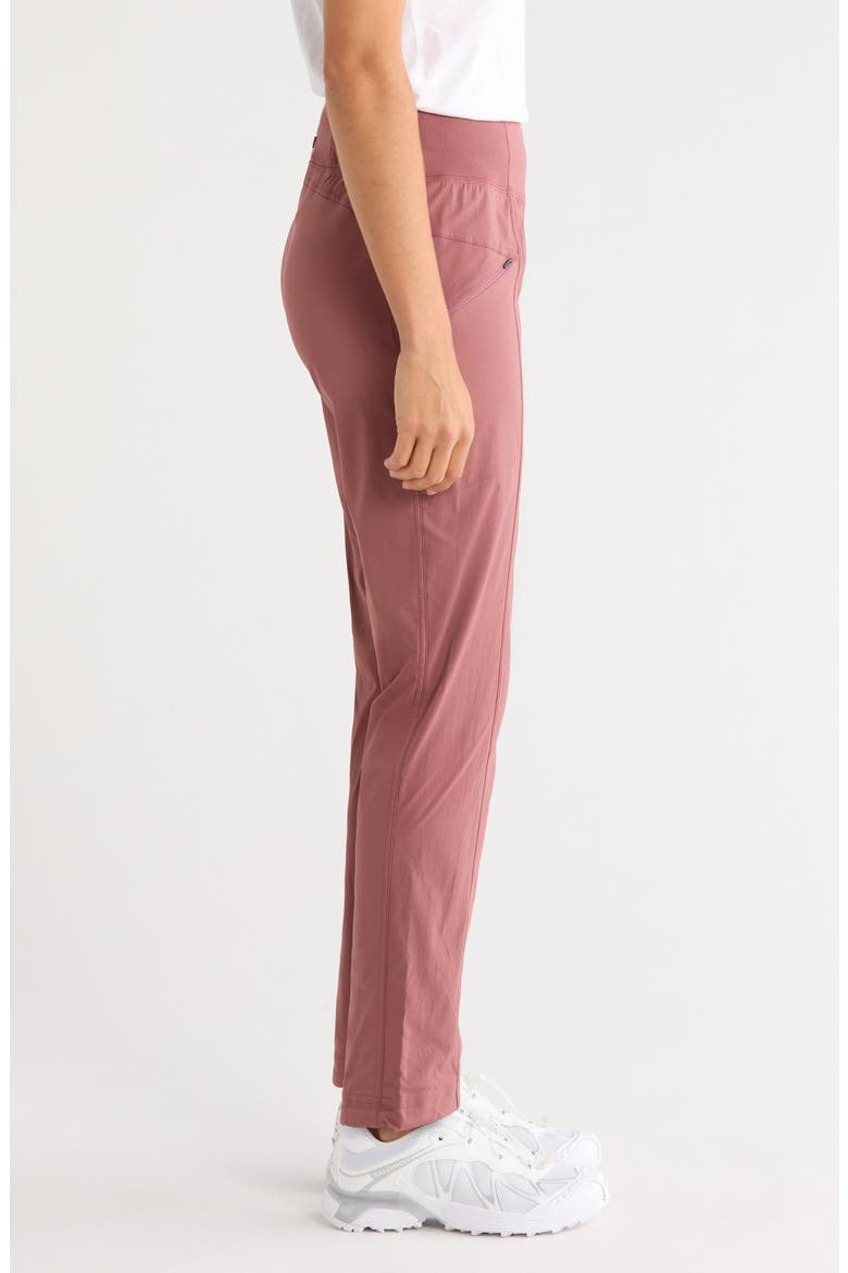 Koen Daily Slim Fit Pants, Alternate, color, NEWBERRY