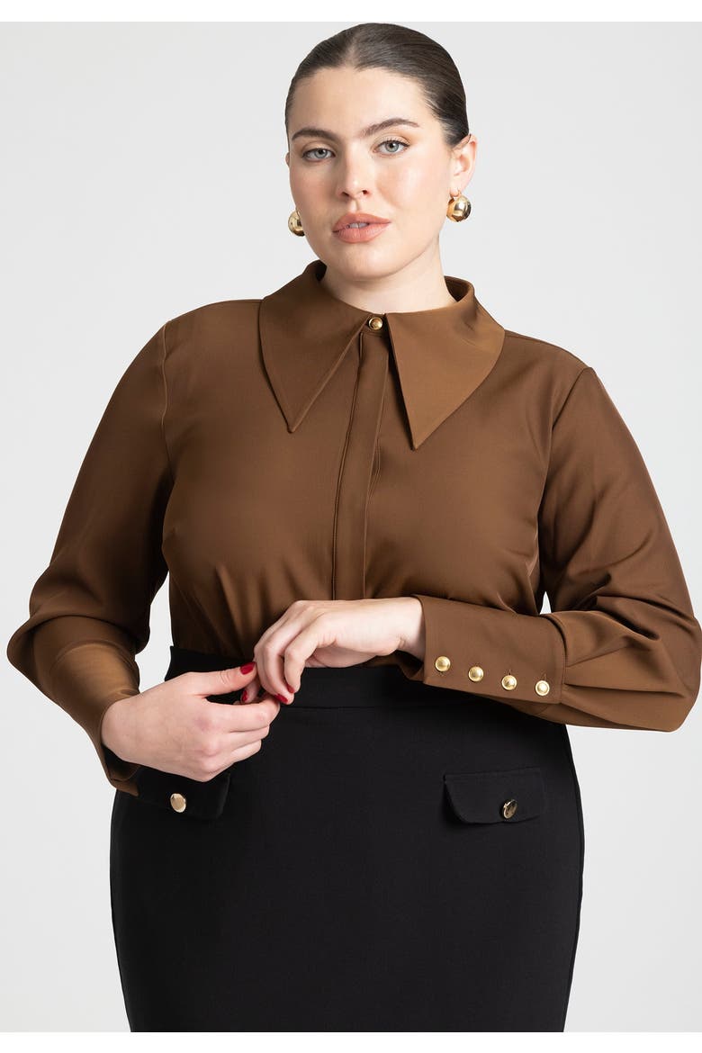 Pointed Collar Button Up Shirt, Alternate, color, CARAFE