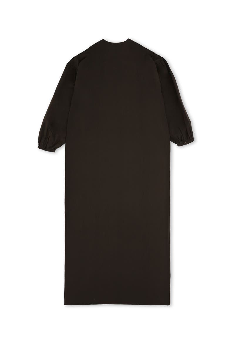 Allegral Embroidered Silk Crepe Dress, Alternate, color, BROWN