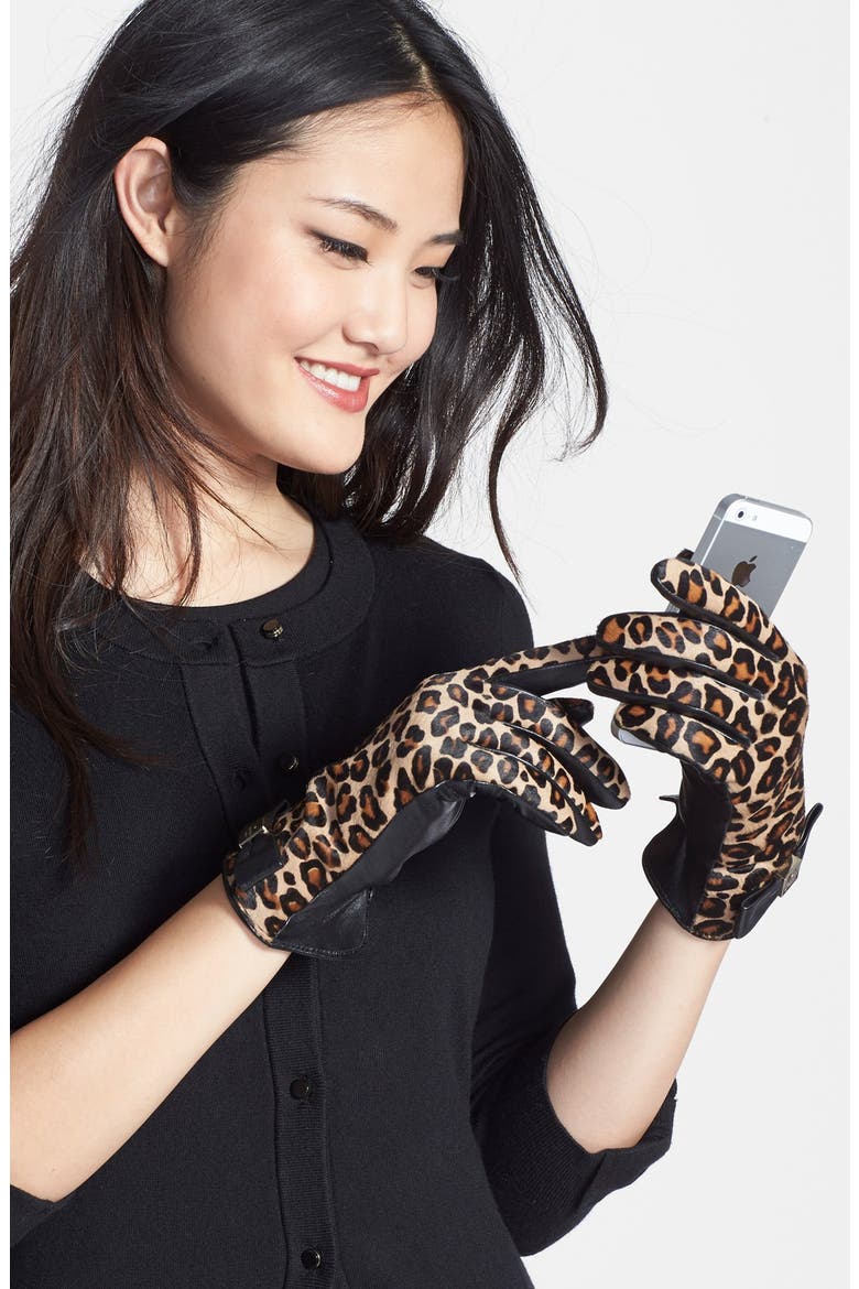cheetah print calf hair & leather gloves, Main, color, MULTI
