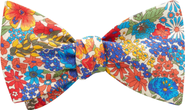Beau Ties of Vermont Hammond Liberty of London Bow Tie