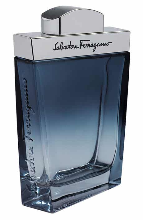 Salvatore Ferragamo Subtil Pour Homme Eau de Toilette