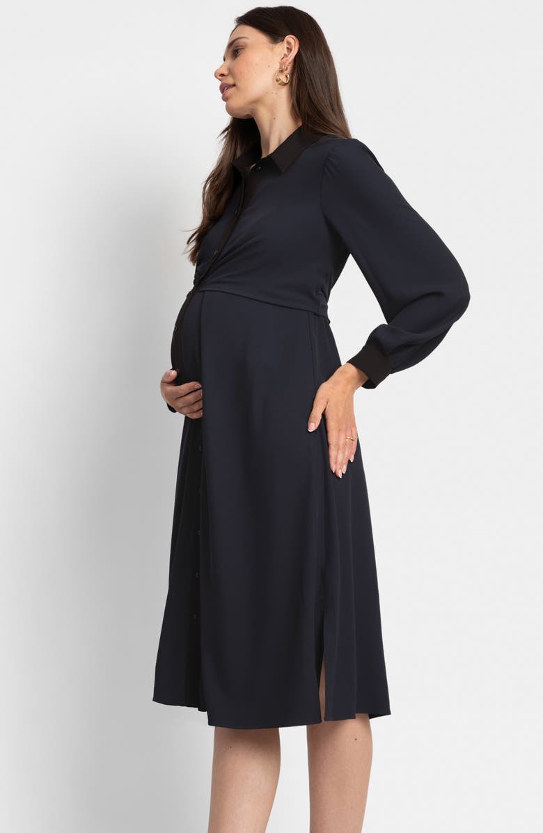Seraphine Pleated Waist Long Sleeve Maternity/Nursing Shirtdress, Alternate, color, 