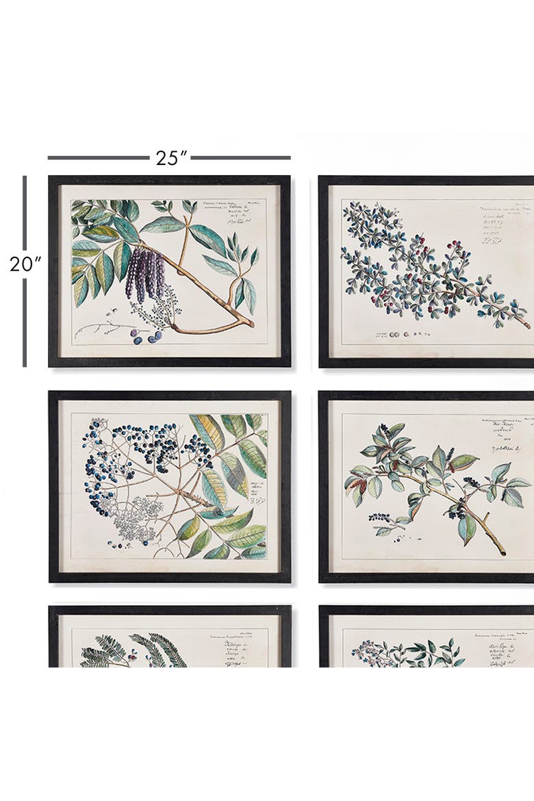 Berry Branch Botanical Study, Set Of 6, Alternate, color, Blue