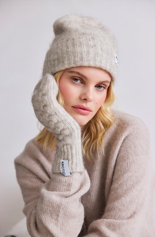 Arctic Fox & Co. Arctic Fox & Co The Mohair & Merino Wool Blend Mittens In Neutral