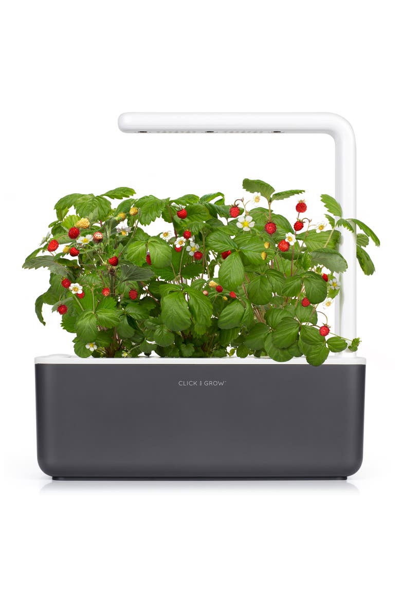 Smart Garden 3 Self Watering Indoor Garden, Main, color, GREY