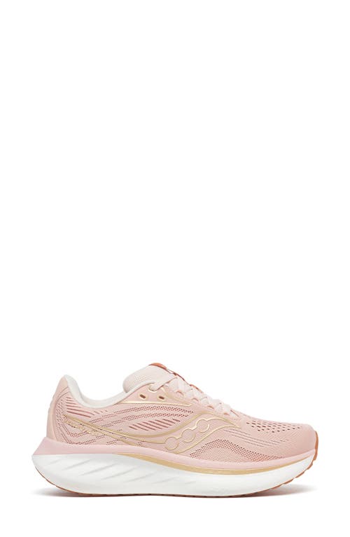 Saucony Ride 18 Running Shoe In Neutral