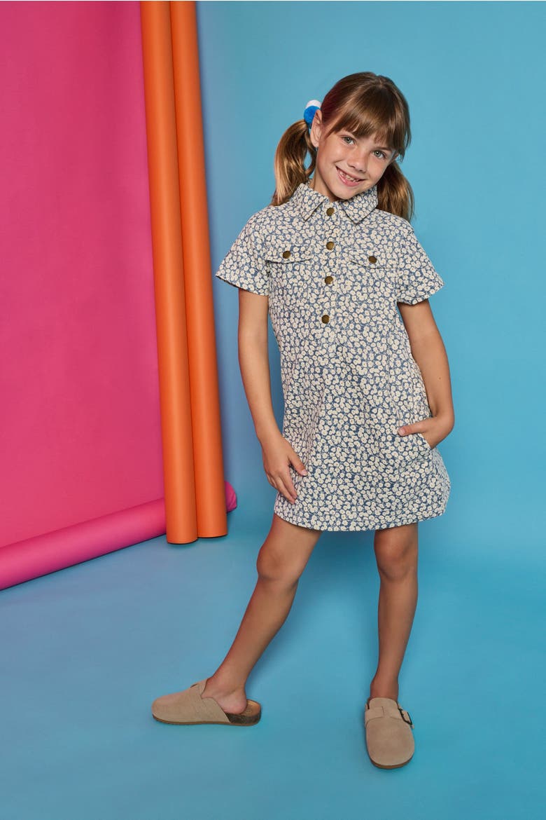 Kids' Safari Popover Dress, Alternate, color, French Blue Floral