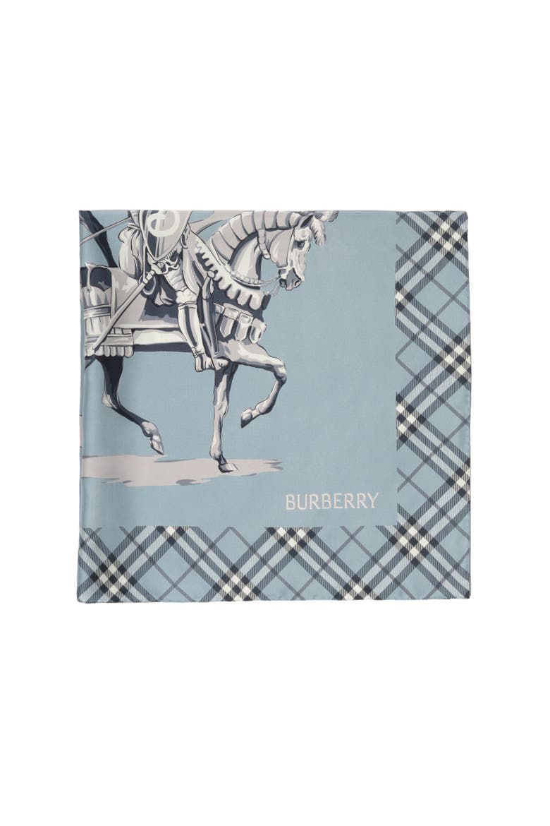 Archive Knight Silk Scarf, Alternate, color, Bank blue