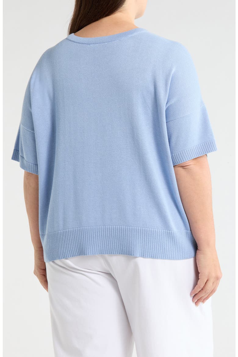 Crew Neck Knit Top, Alternate, color, SKYLIGHT