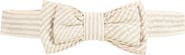 Hope & Henry Boys' Seersucker Bow Tie, Kids
