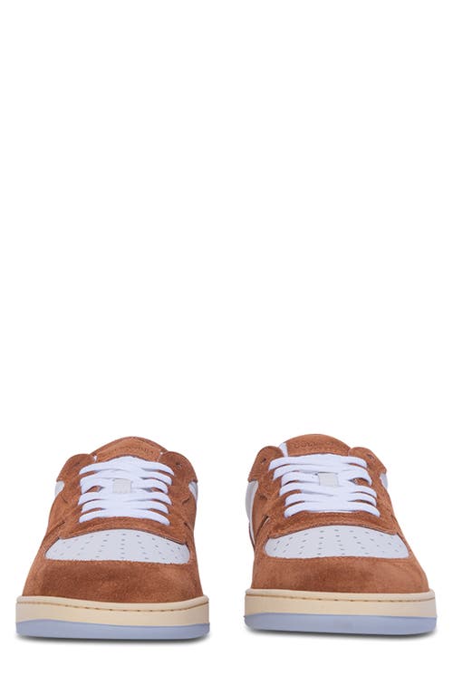 Collegium Pillar Destroyer Low Top Sneaker In Multi