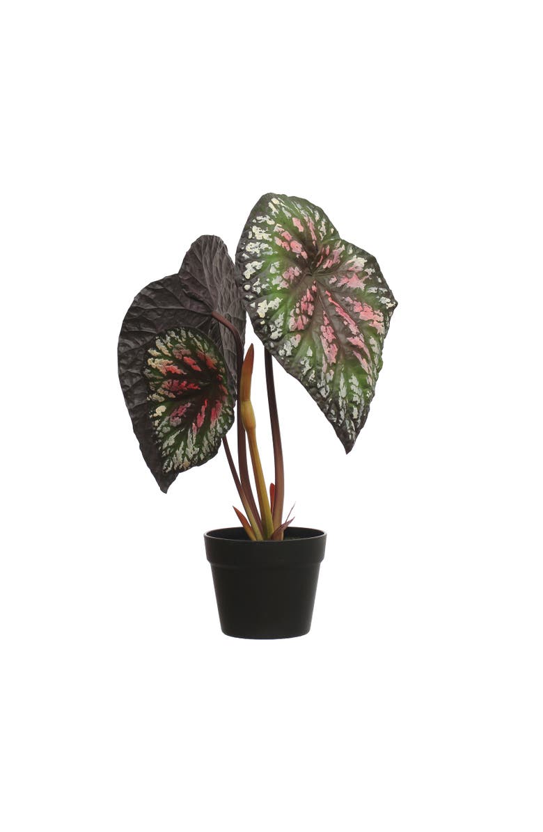 Storied Home Round Faux Begonia Plant in Plastic Pot, Main, color, Green