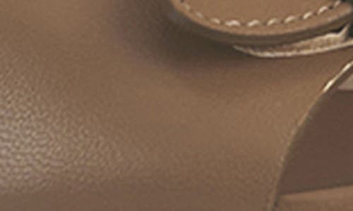 Agl Attilio Giusti Leombruni Agl Sista Ankle Strap Platform Sandal In Cocoa-ghibli