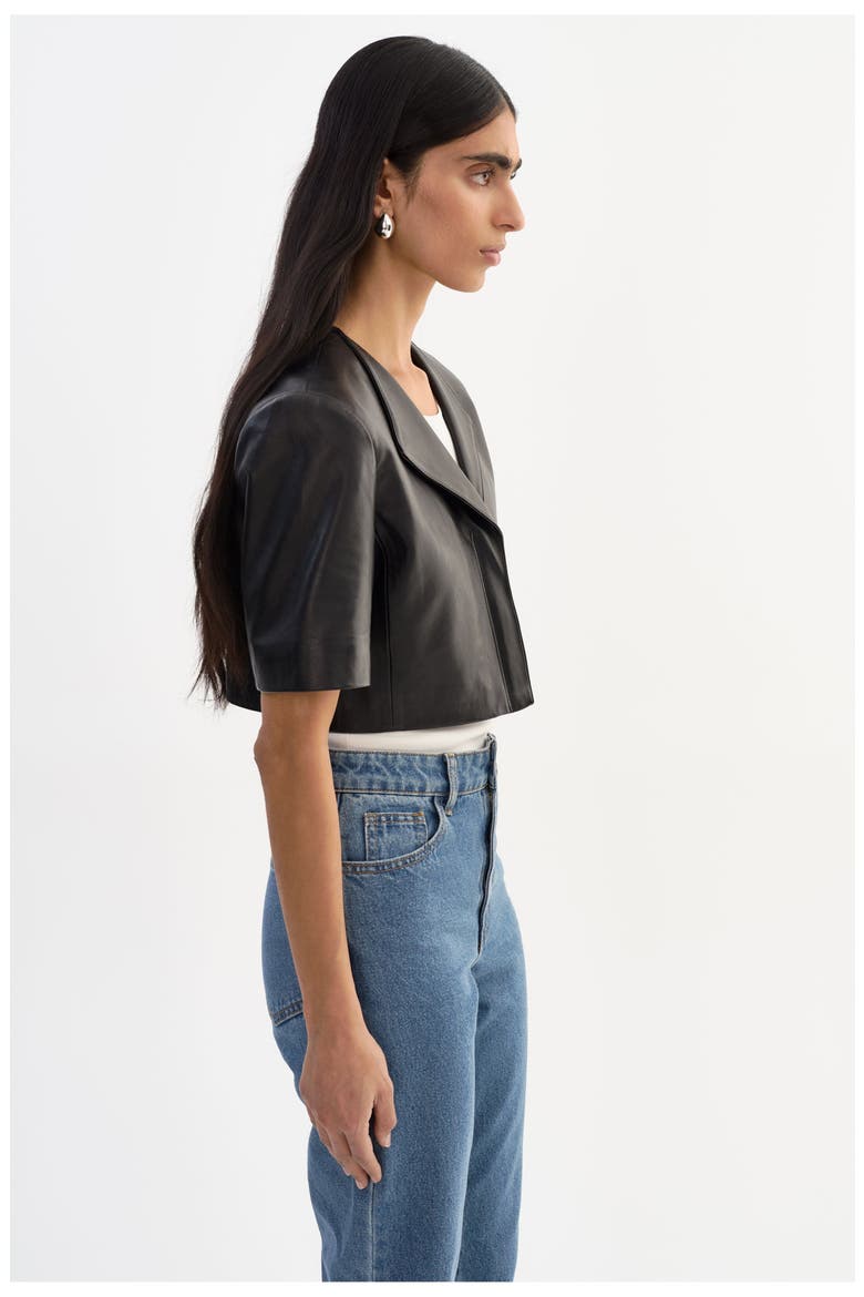 Aviana | Collarless Leather Jacket, Alternate, color, Black