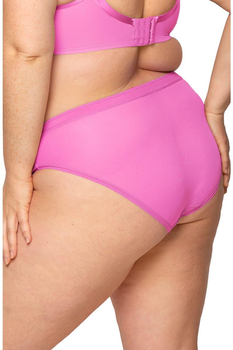 Sheer Mesh High Cut Briefs, Alternate, color, FLIRT