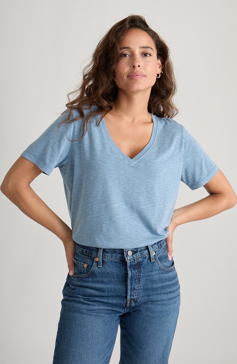 Marine Layer V-Neck Slub T-Shirt, Alternate, color, Coronet Blue