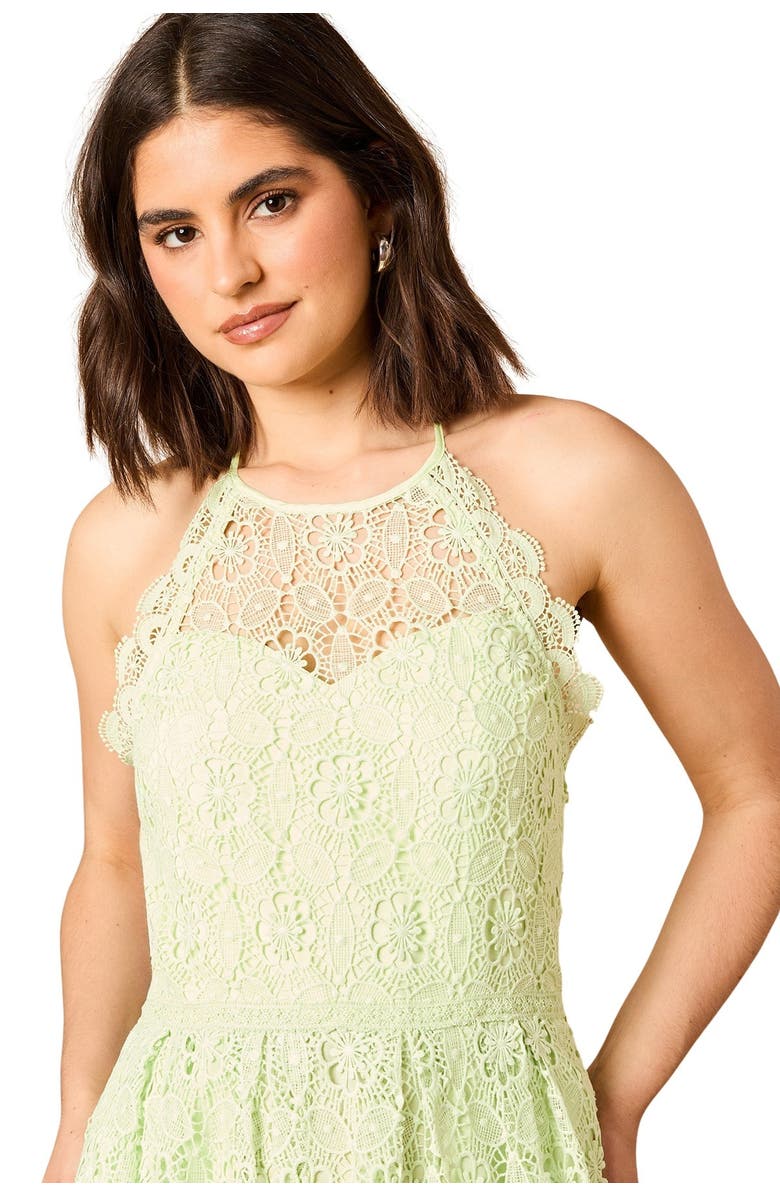 Oasis Lace Detail Halterneck Midi Dress, Alternate, color, Sage
