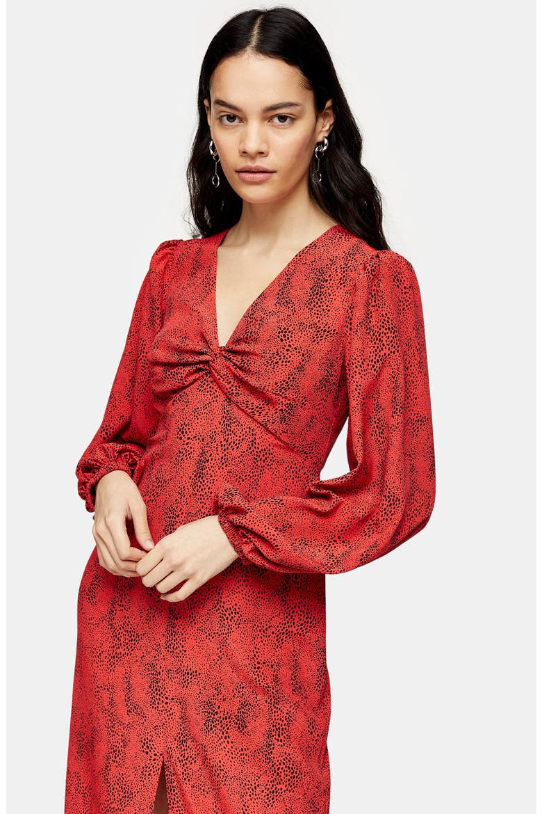 Animal Print Long Sleeve Maxi Dress, Alternate, color, RED